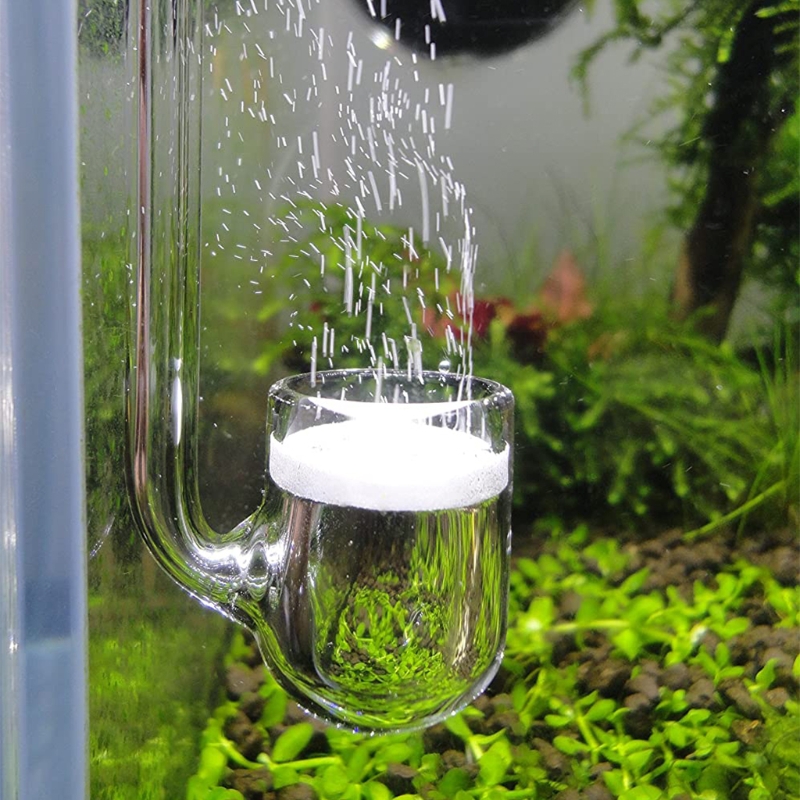 Aquarium Liquid Carbon - D0AD Diffusore CO2 in vetro per
