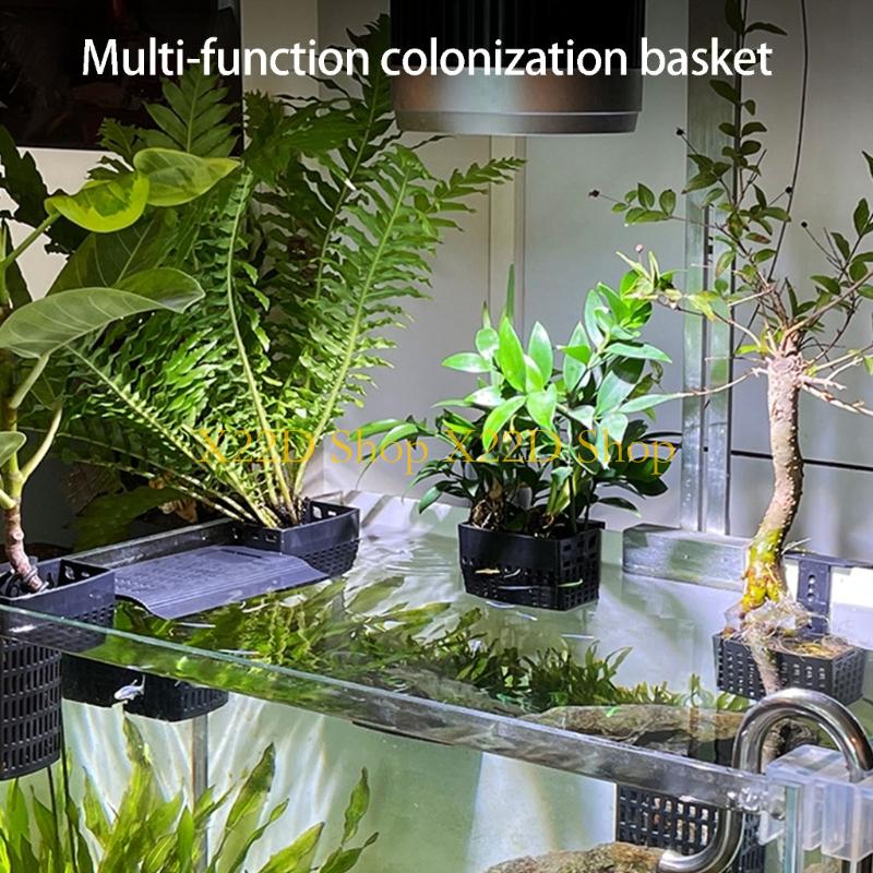 Plant Aquarium Pot - X22D Contenitore da parete in plastica