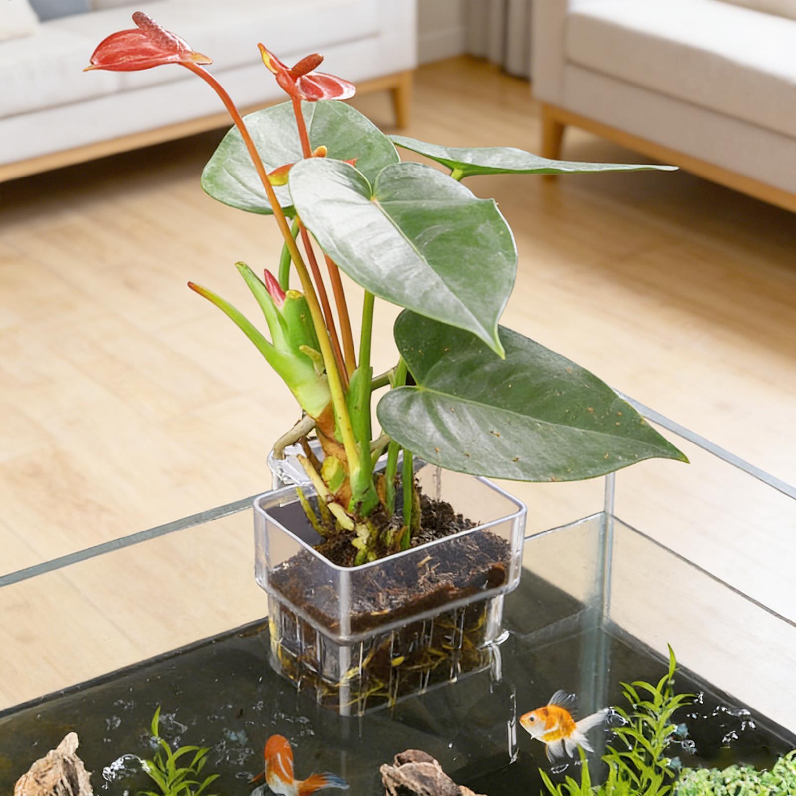 Plant Aquarium Pot - Cesto per Piante d'Acquario Trasparente, Decorazioni