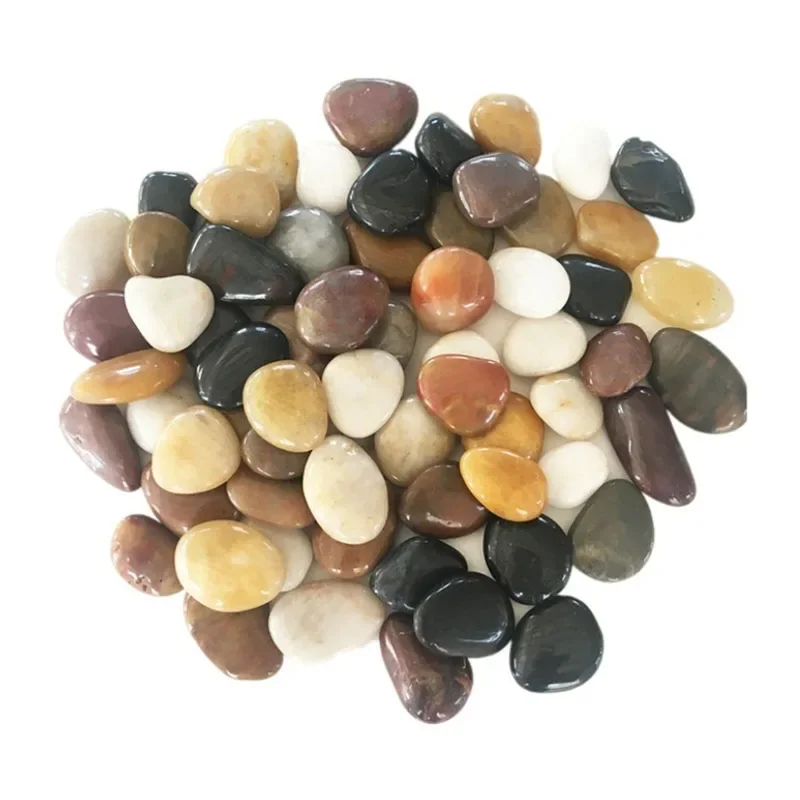 Aquarium Moss - 250g 500g Natural Aquarium Decor Stone