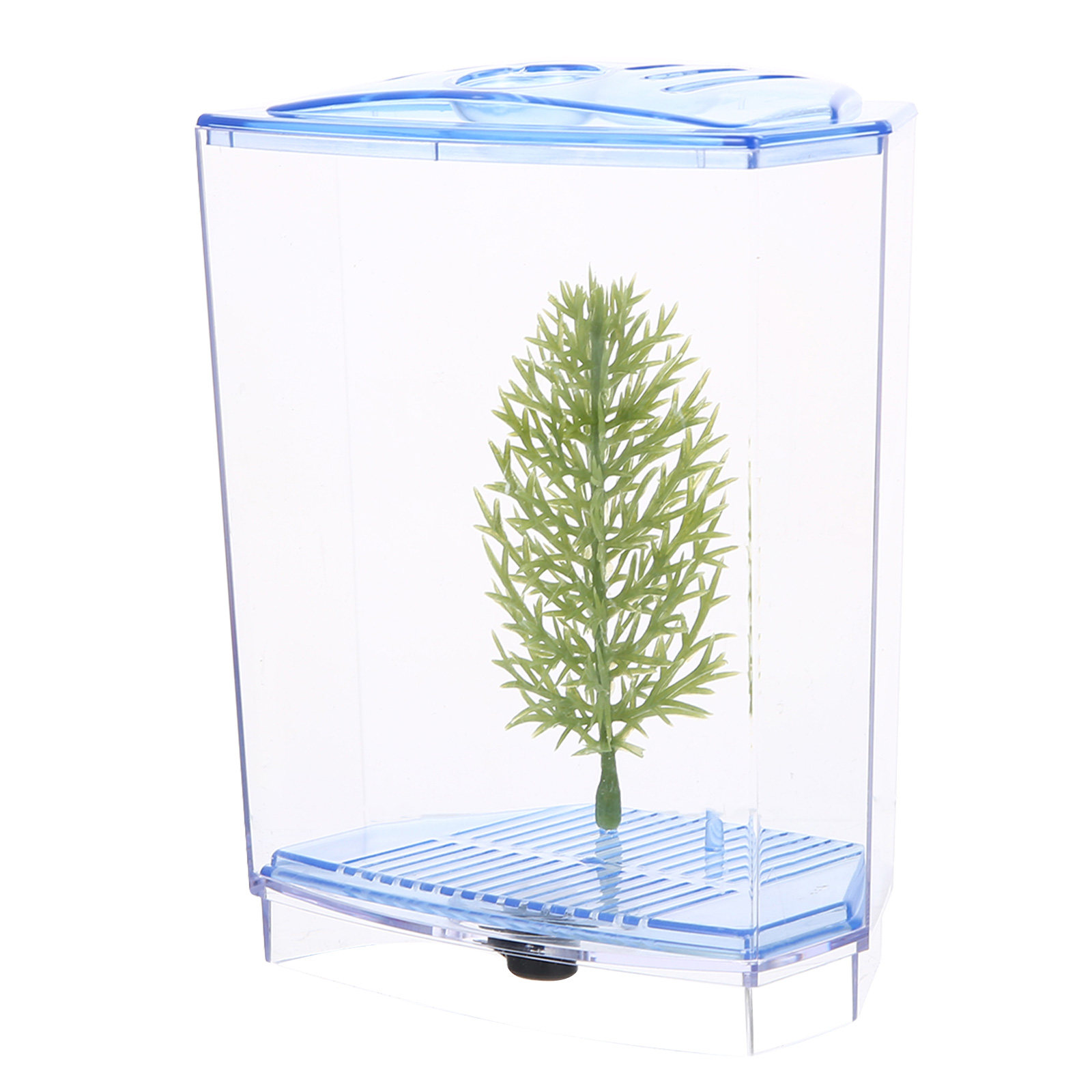 Live Plant Aquarium - Mini Acquario in Plastica Trasparente per