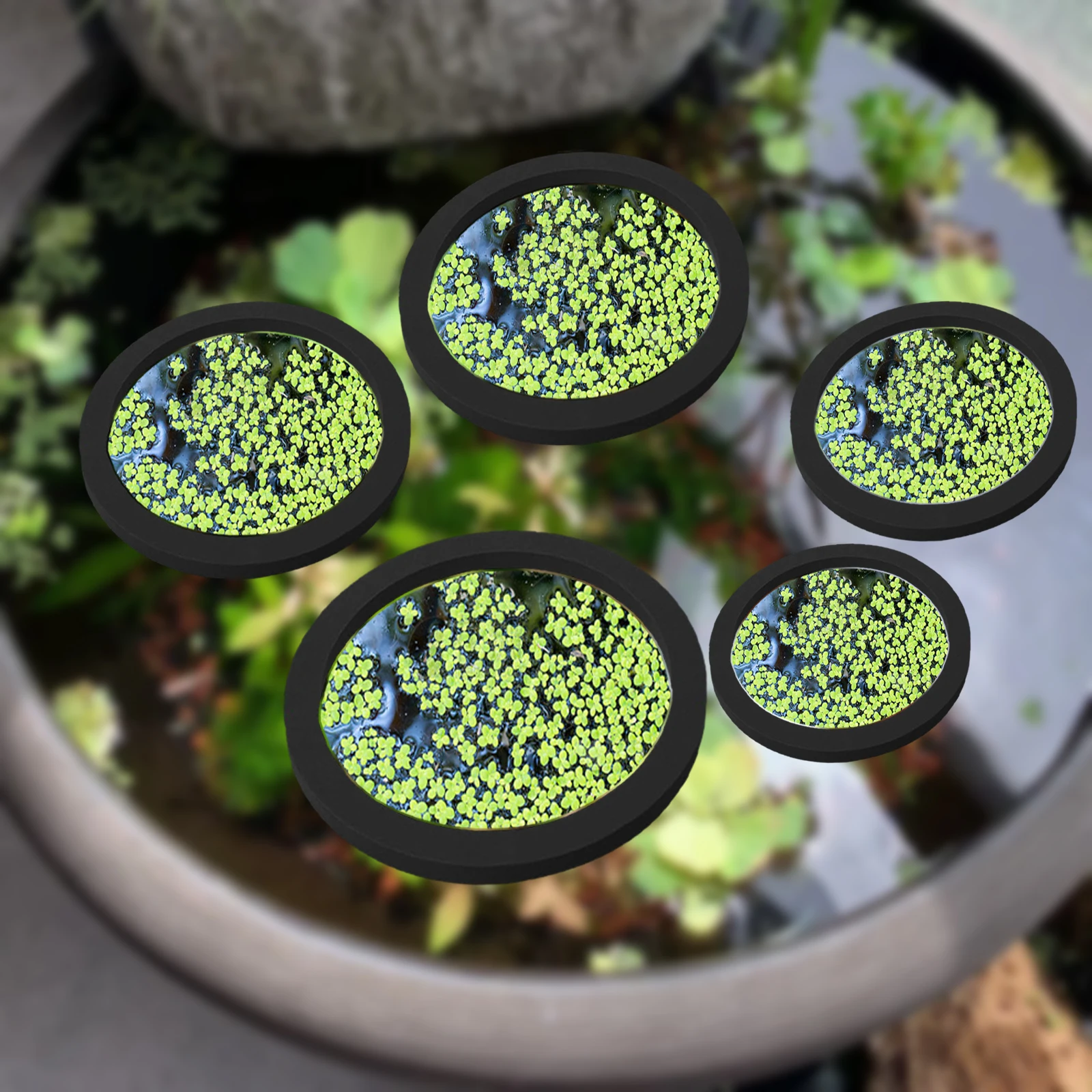 Planted Tank - 5 pz EVA Anello di Alimentazione