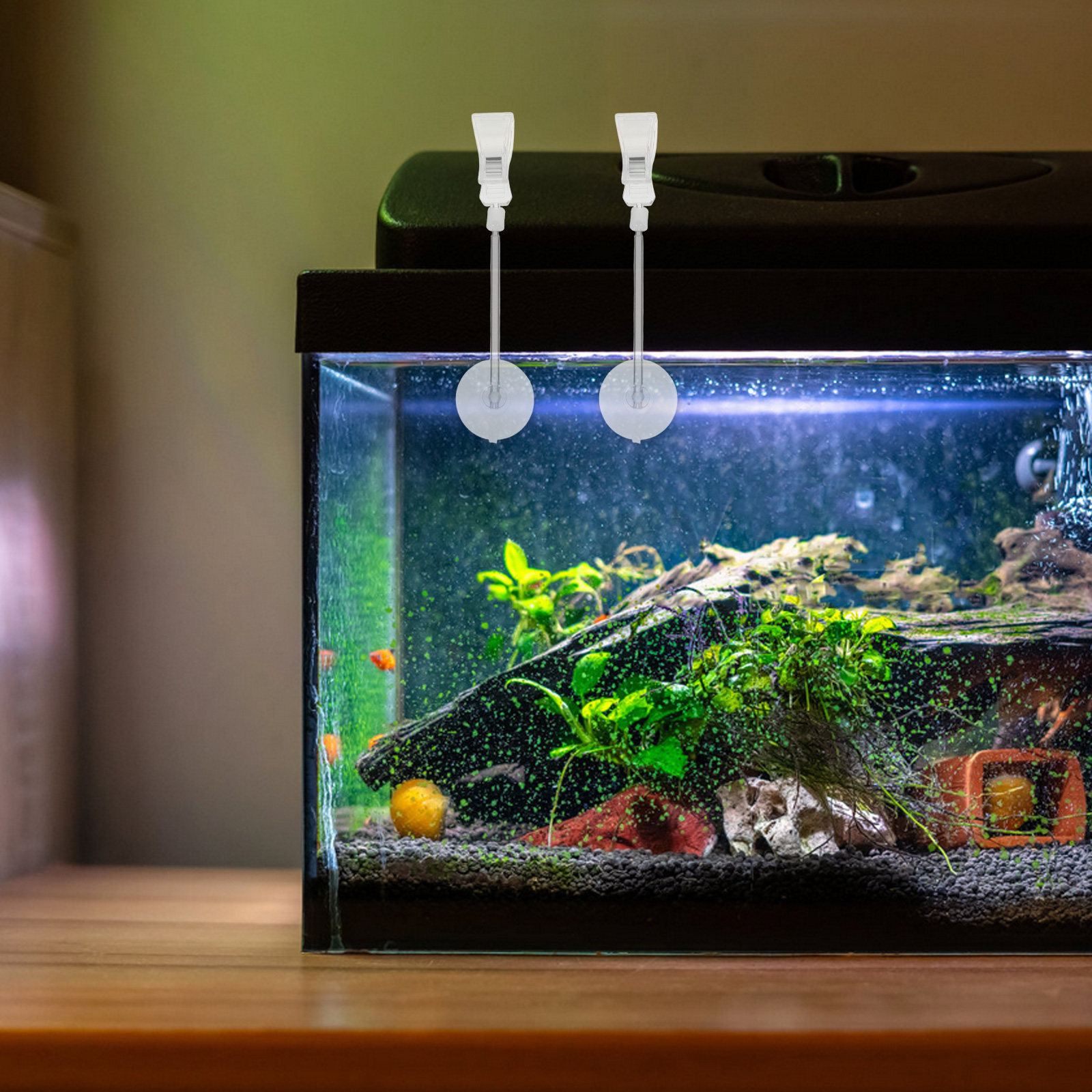 Aquarium Plant Holder - 3 pezzi: supporto per acquario a