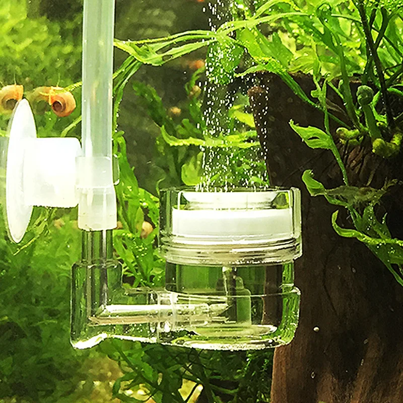 Live Plant Aquarium - Acquario 4 in 1 Diffusore di