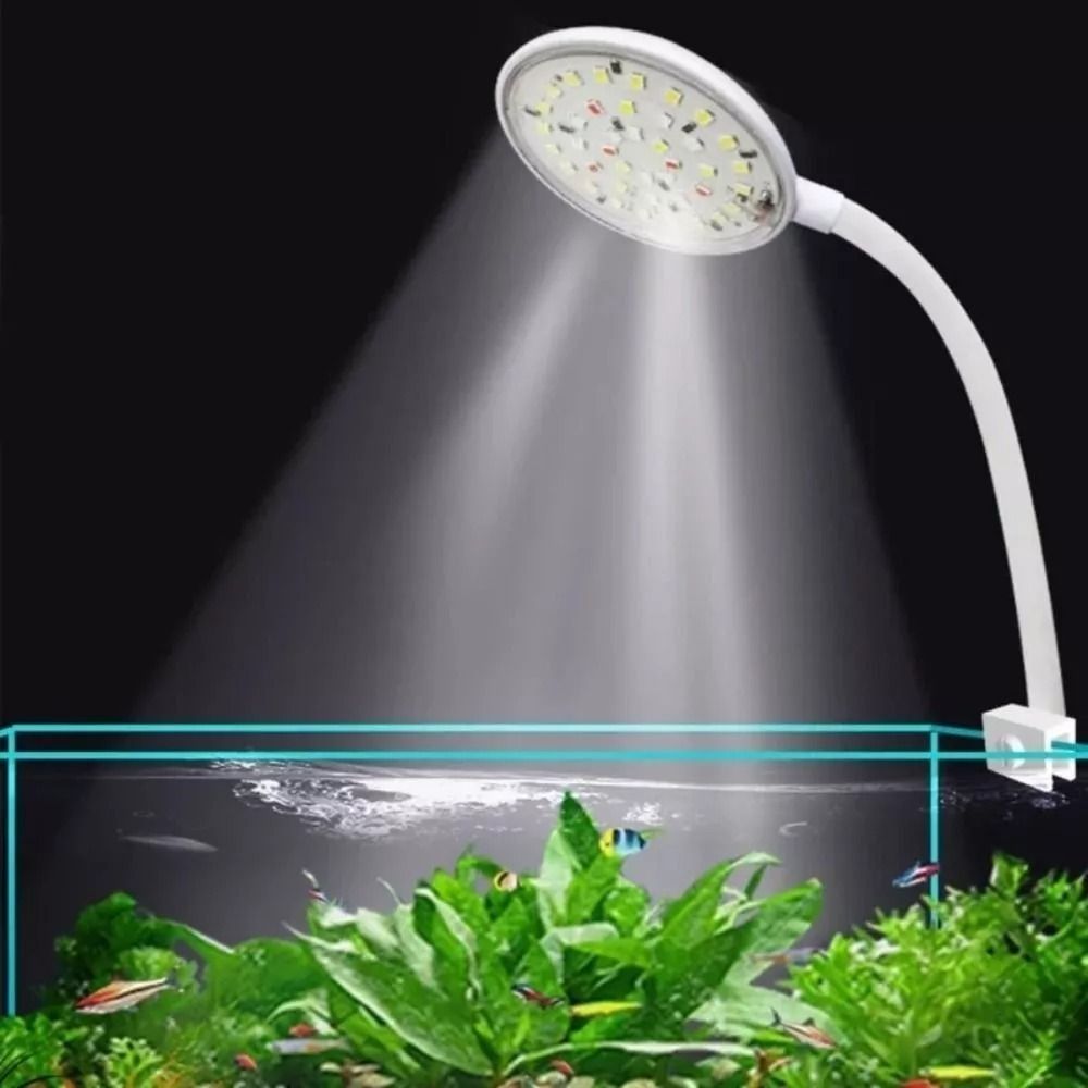 Live Plant Aquarium - Nuova Mini lampada a Clip per