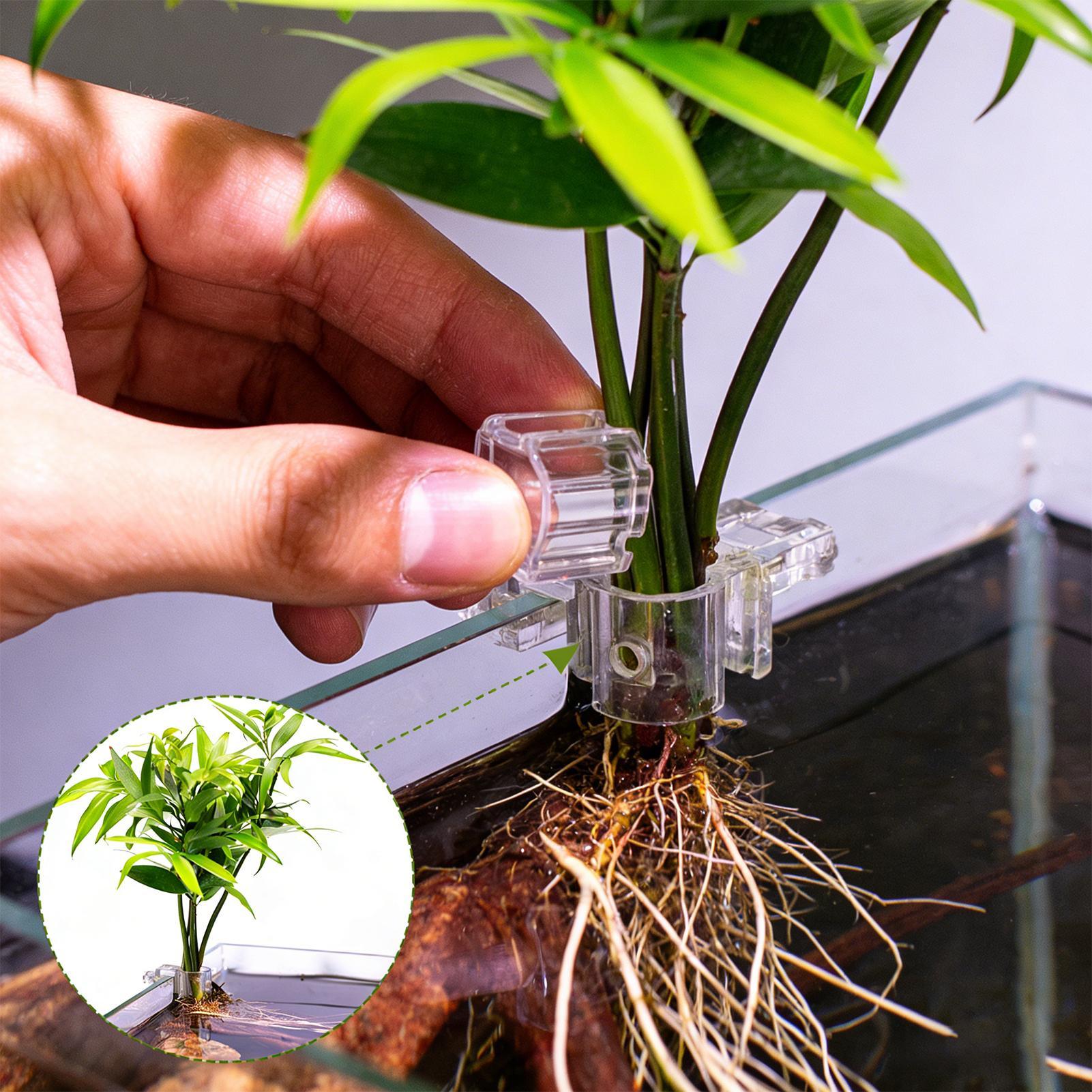 Aquarium Plants Live - Set di 6 Supporti Trasparenti per