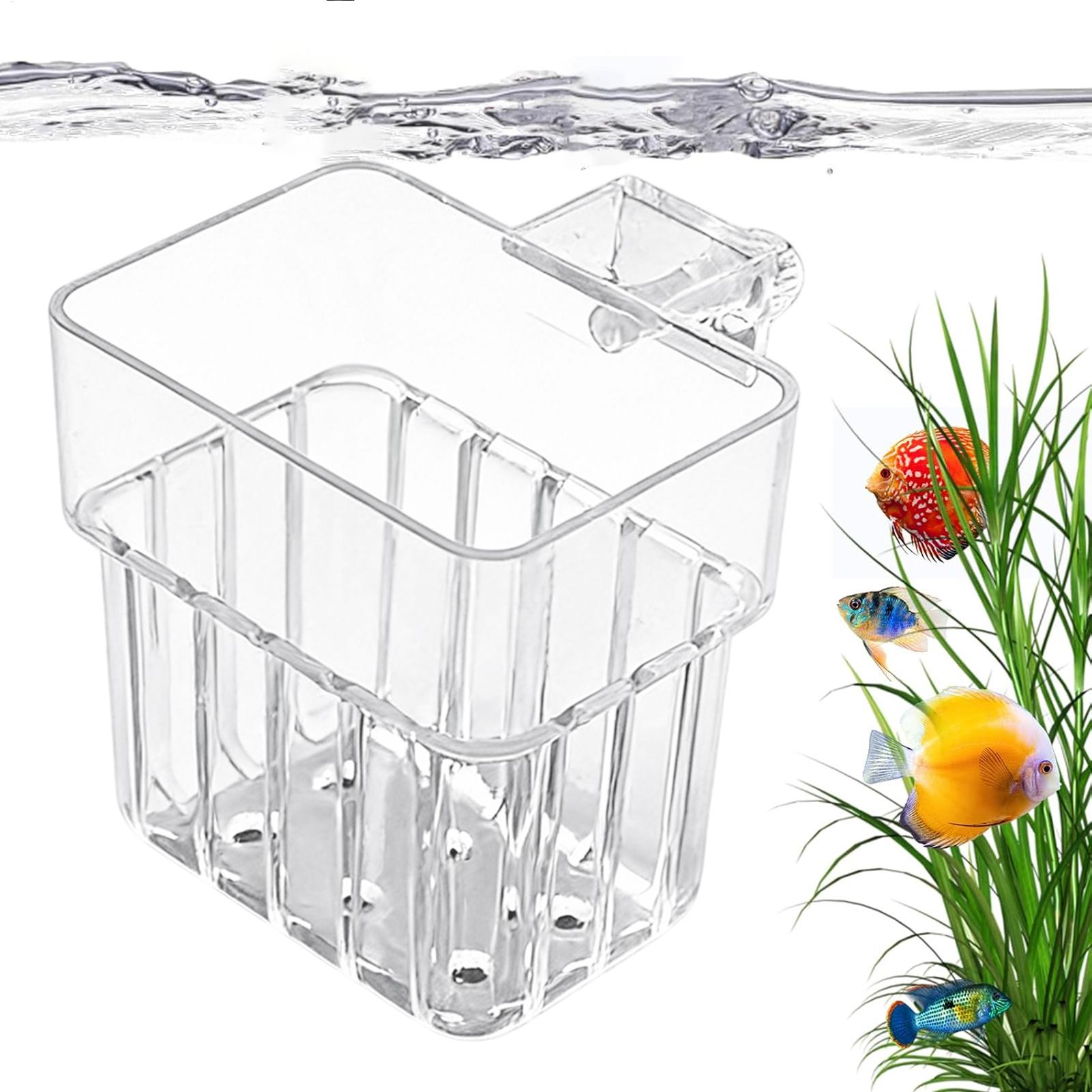 Aquarium Plants Live - Supporto Trasparente per Piante Acquatiche da