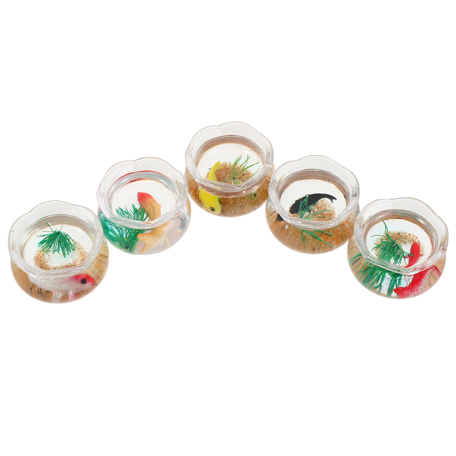 Planted Tank - Set da 5 mini acquari a