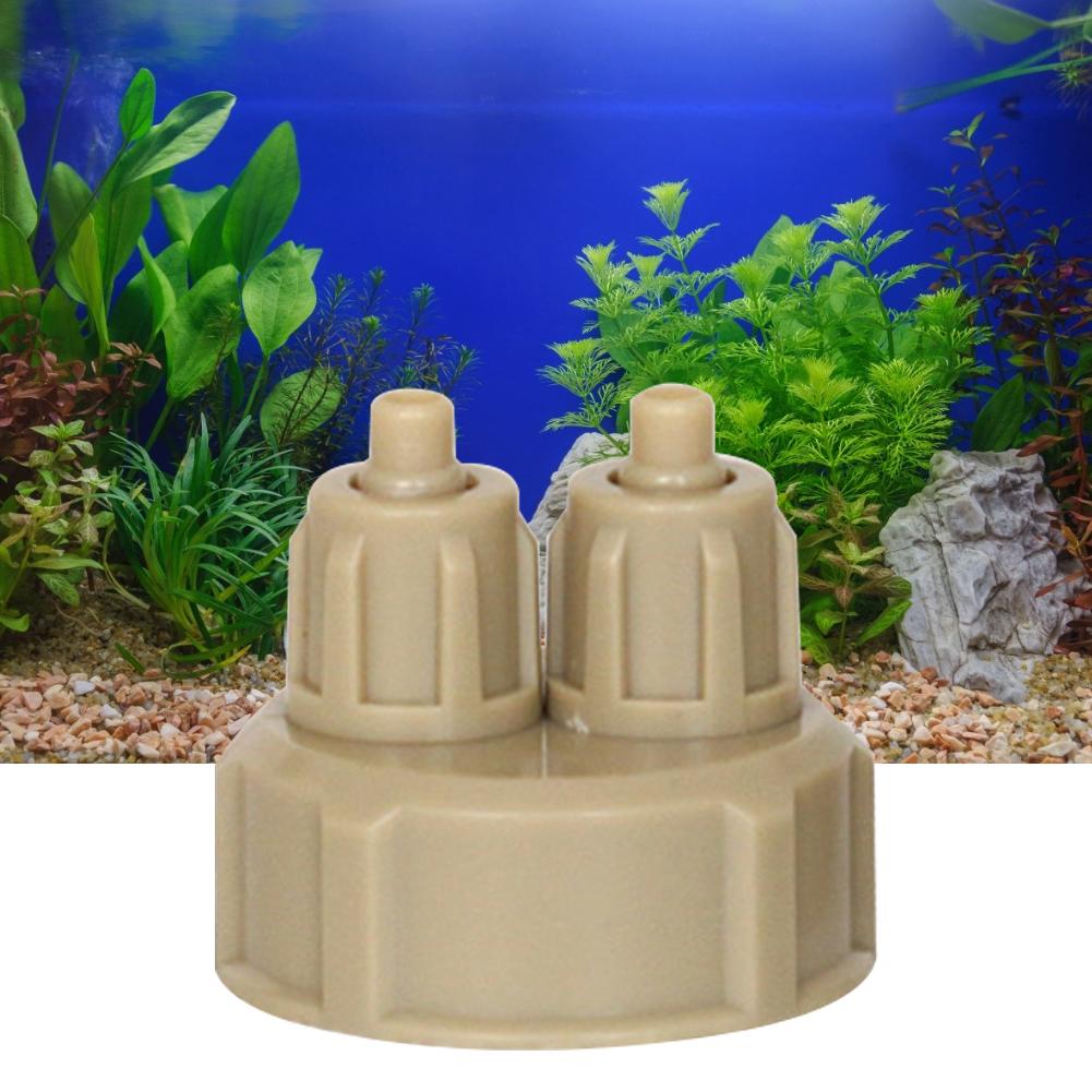 Generatore di CO2 per Acquario - Live Plant Aquarium recensione e prezzo