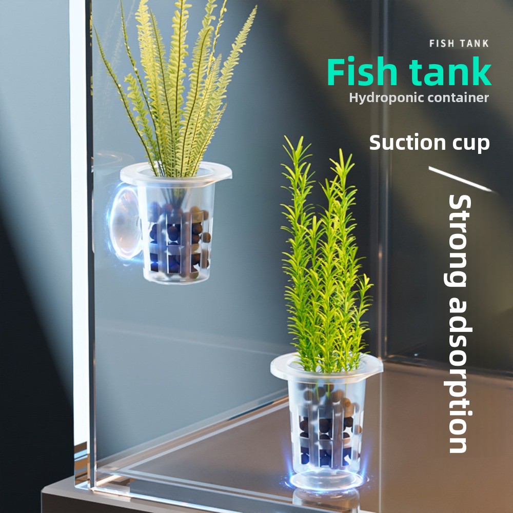 10 Pezzi Vasi Idroponici Trasp - Aquarium Plants Live recensione e prezzo
