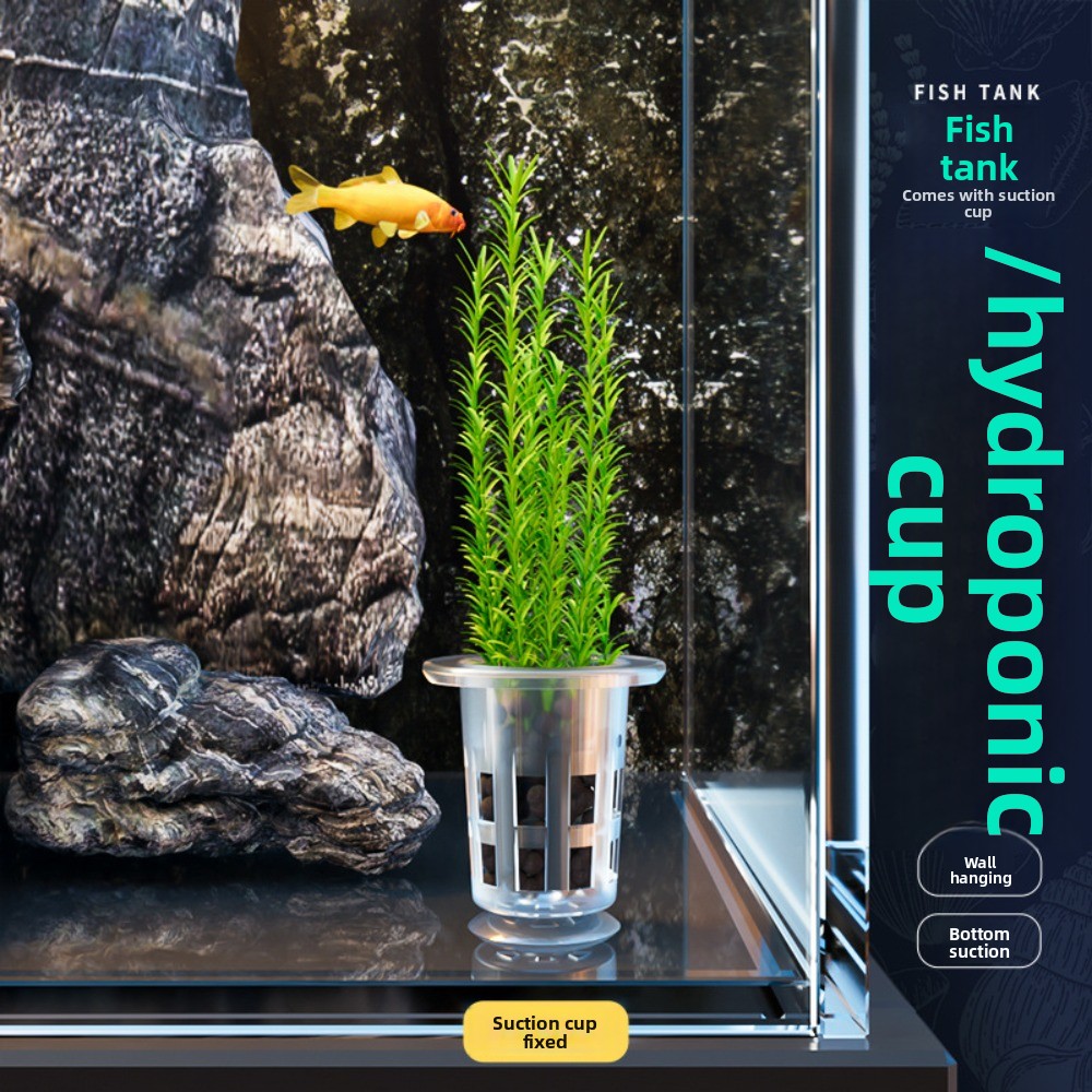 10 Pezzi Vasi Idroponici Trasp - Aquarium Plants Live recensione e prezzo