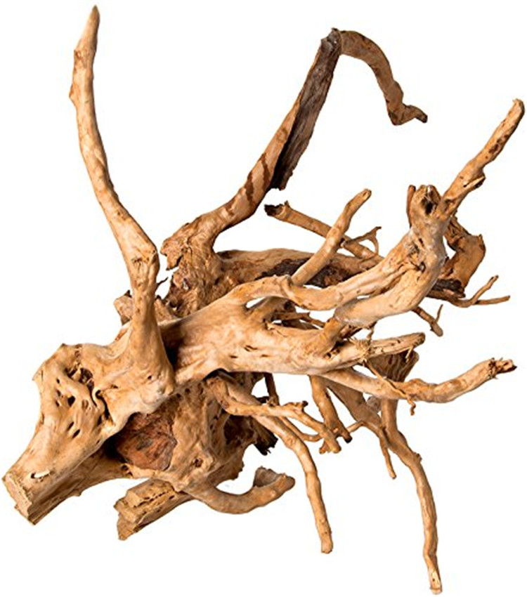 Legno Naturale Lucidato per Ac - Aquarium Driftwood recensione e prezzo