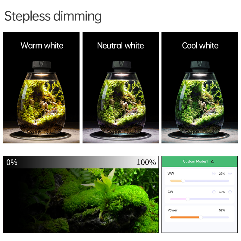 COB Microlandscape Pianta Luce - Planted Tank recensione e prezzo