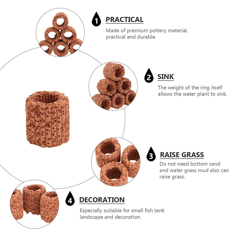 Anello fisso per piante acquat - Plant Aquarium Pot recensione e prezzo