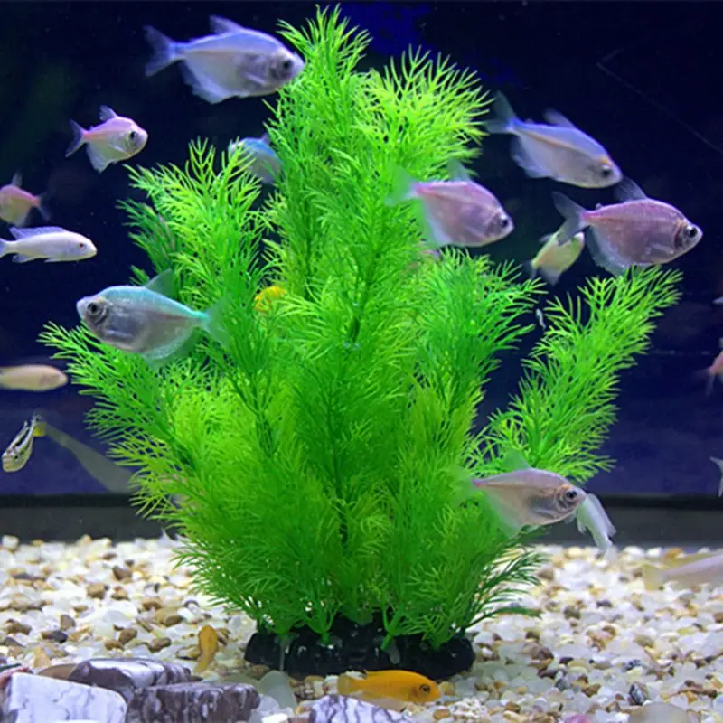 Piante artificiali per decoraz - Aquarium Plant Substrate recensione e prezzo
