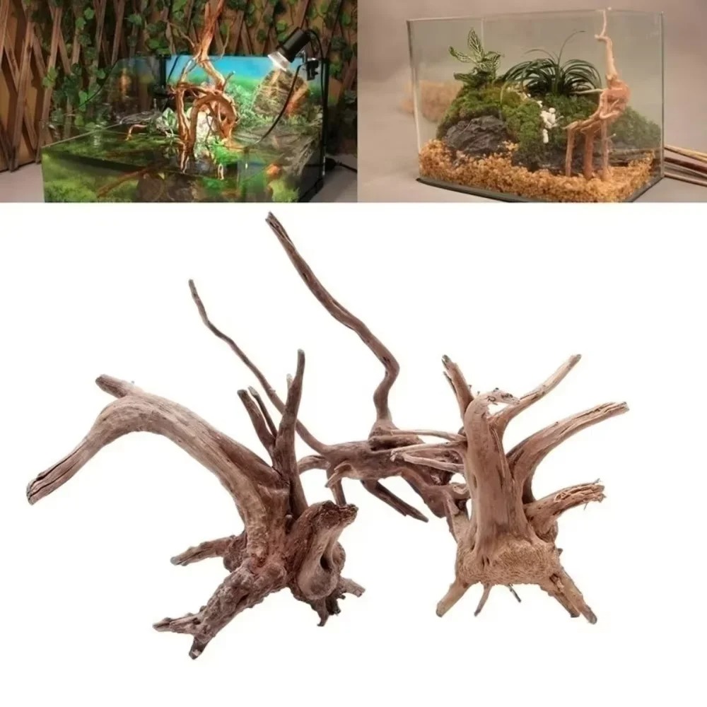 Legno Naturale per Acquario 15 - Aquarium Moss recensione e prezzo