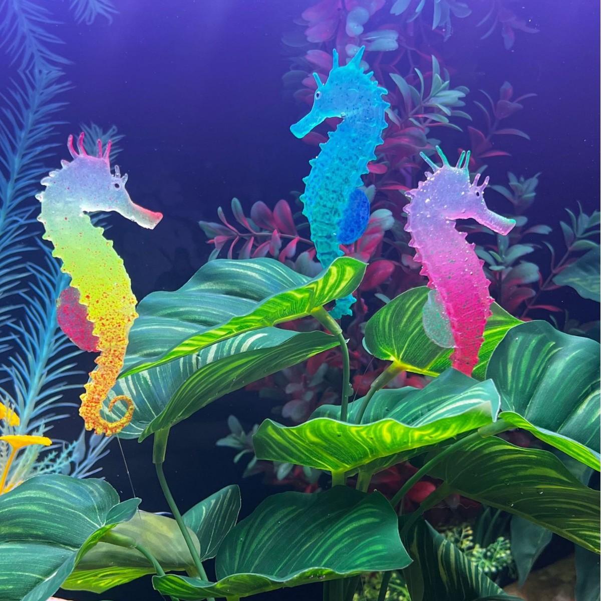 Decorazione per Acquario a For - Aquarium Plant Substrate recensione e prezzo