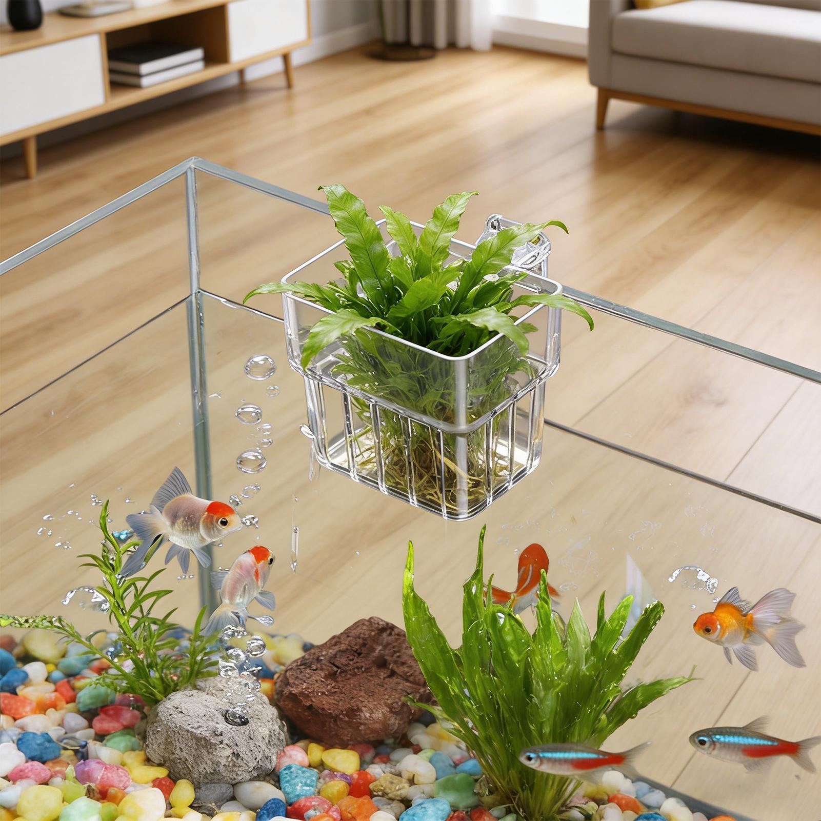 Cestello fisso per acquario, c - Aquarium Plants Live recensione e prezzo