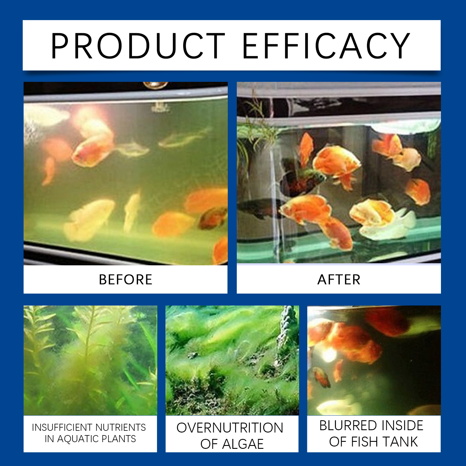 Chiarificatore d'acqua per acq - Planted Aquarium Cleaning recensione e prezzo