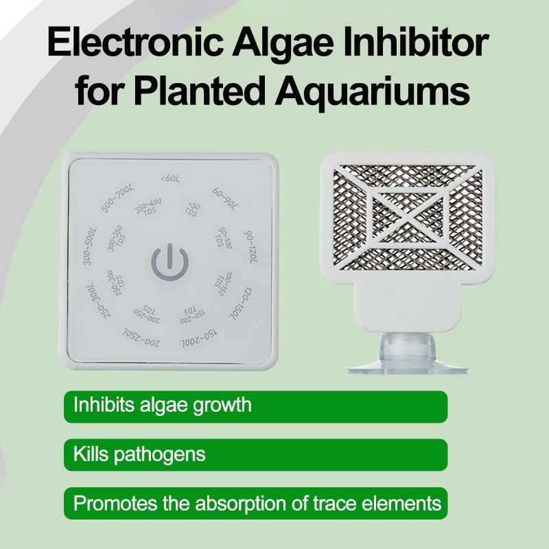 Strumento elettronico per la p - Planted Aquarium Cleaning recensione e prezzo