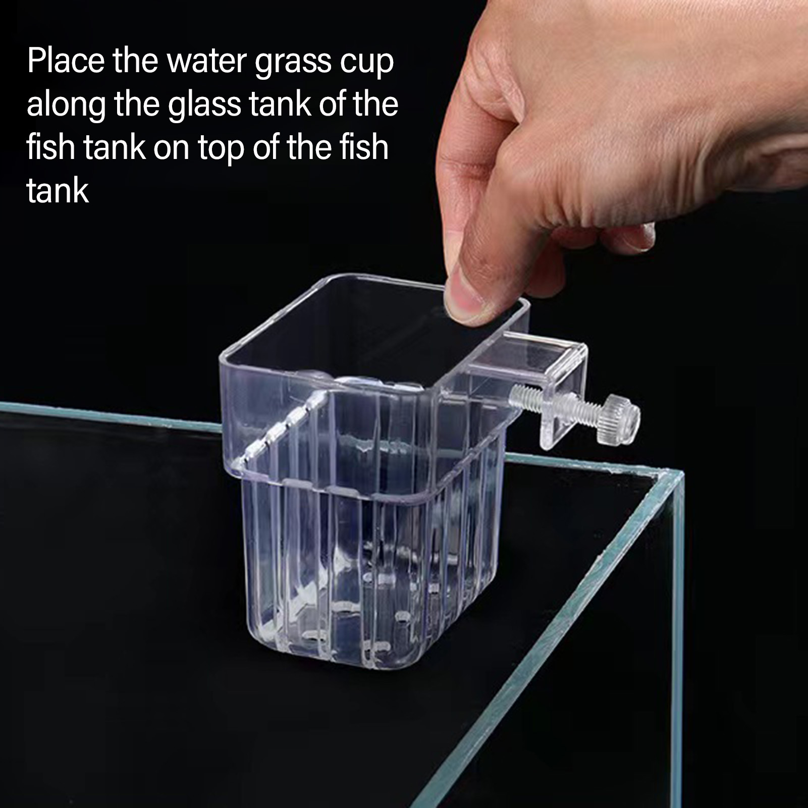 Cestello per Piante Idroponich - Aquarium Plant Holder recensione e prezzo