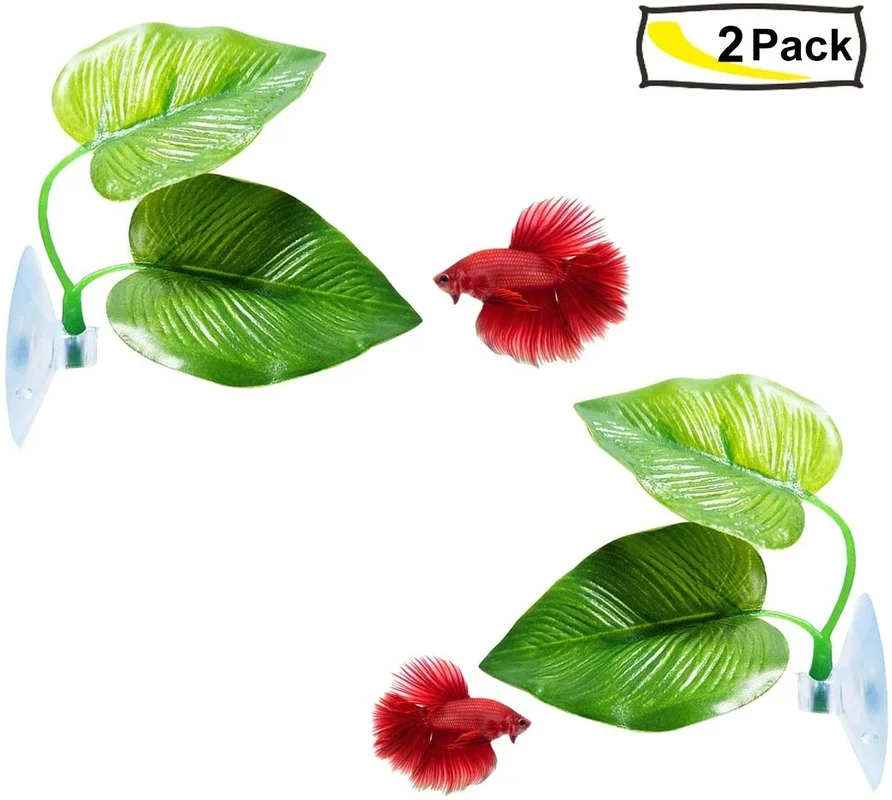 Amaca a foglia di pesce Betta  - Aquarium Moss recensione e prezzo