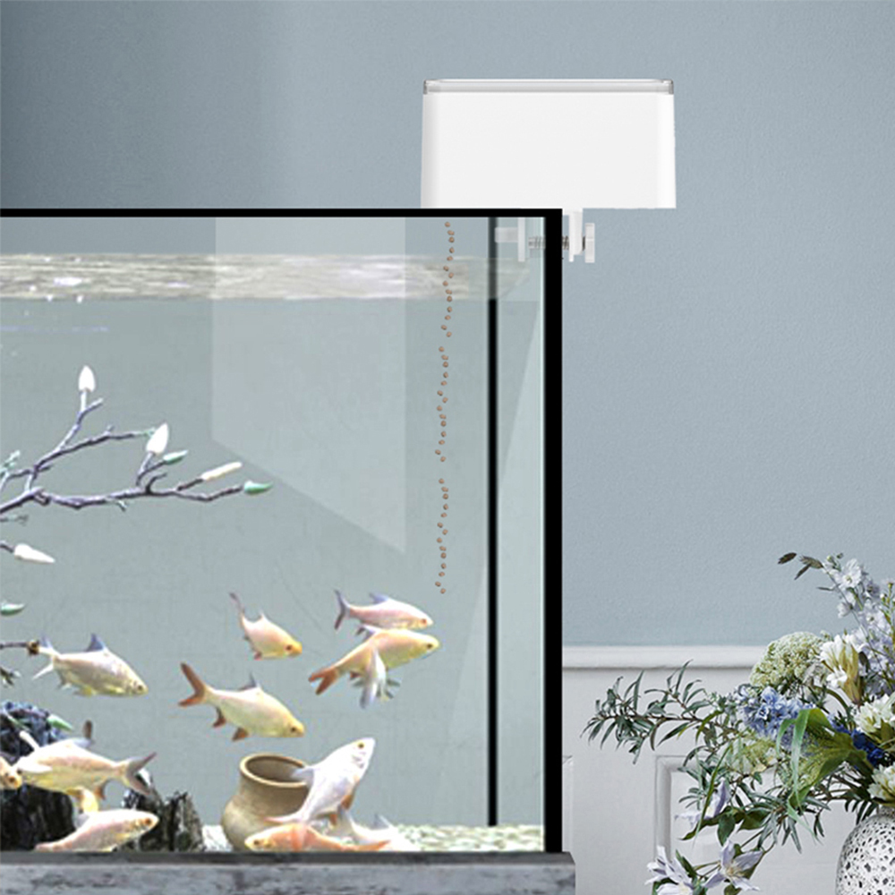 ZYfeeder Distributore Automati - Aquarium Fertilizer recensione e prezzo