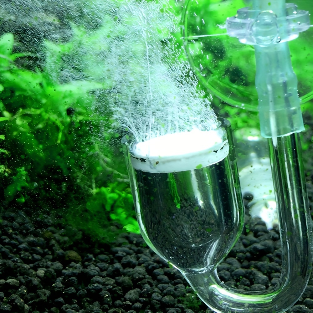 Acquario Vetro CO2 Atomizzator - Aquarium Liquid Carbon recensione e prezzo
