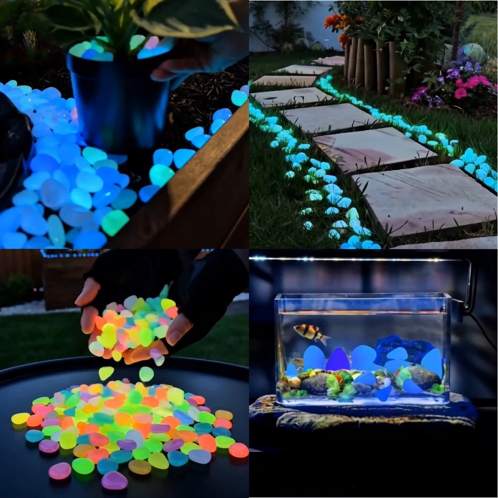 Ciottoli luminosi colorati che - Planted Tank recensione e prezzo