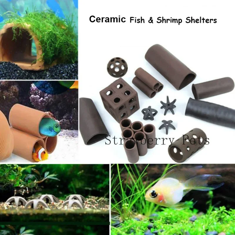 Decorazione per acquario in ce - Aquarium Plants Live recensione e prezzo