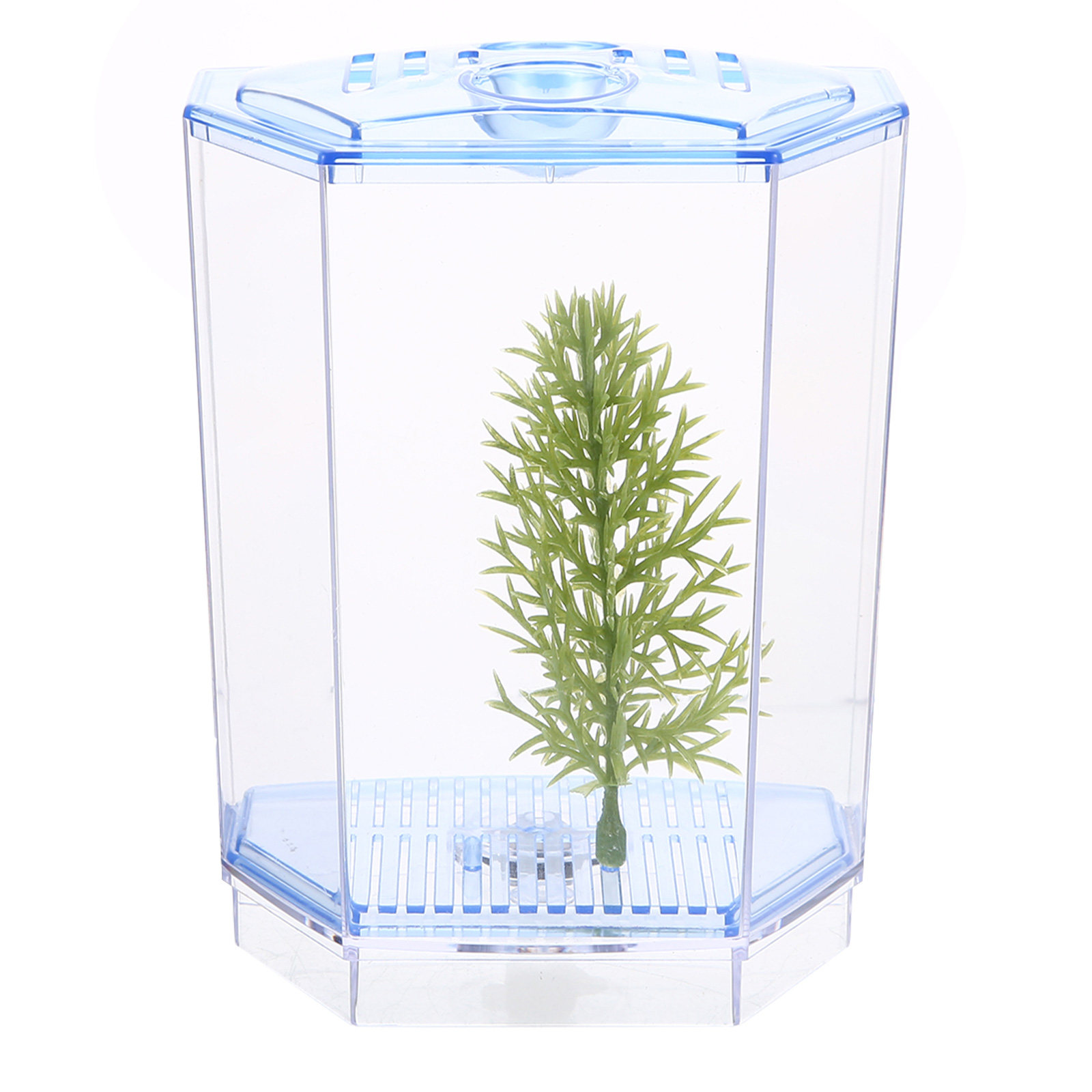 Mini Acquario in Plastica Tras - Live Plant Aquarium recensione e prezzo