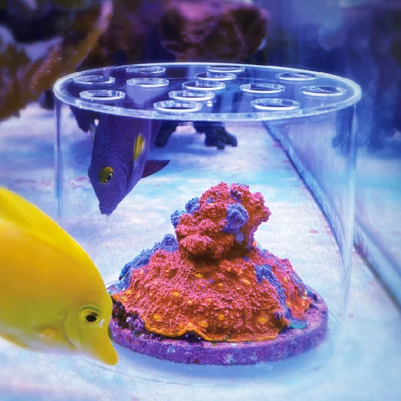 Vastocean Acquario Acrilico Co - Aquarium Fertilizer recensione e prezzo