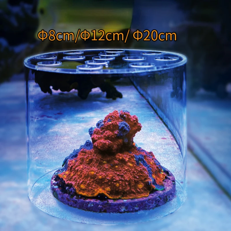 Vastocean Acquario Acrilico Co - Aquarium Fertilizer recensione e prezzo