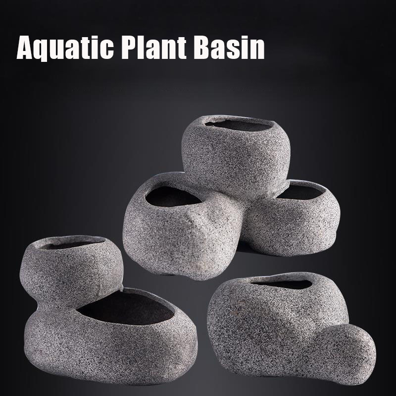 Pesce Gamberetti Incubazione R - Plant Aquarium Pot recensione e prezzo