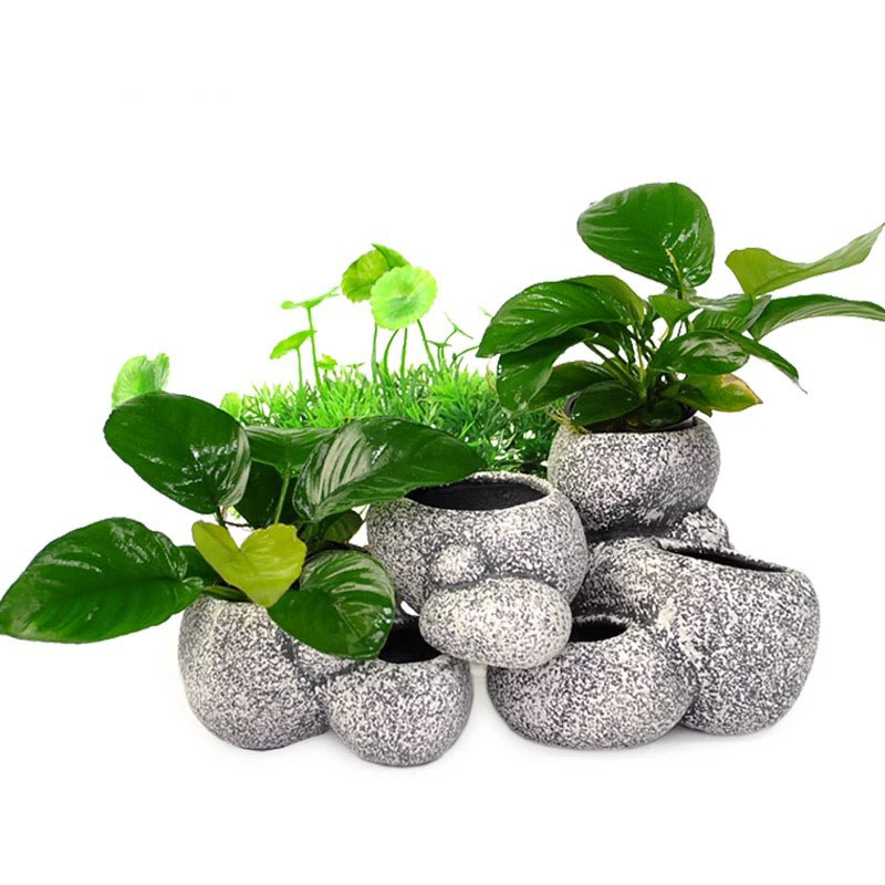 Pesce Gamberetti Incubazione R - Plant Aquarium Pot recensione e prezzo