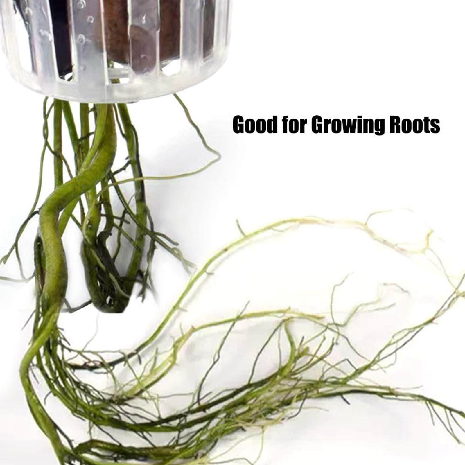 2 pezzi di supporti per piante - Plant Aquarium Pot recensione e prezzo
