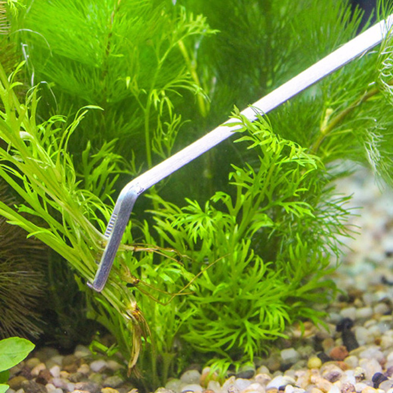 Kit professionale di strumenti - Live Plant Aquarium recensione e prezzo