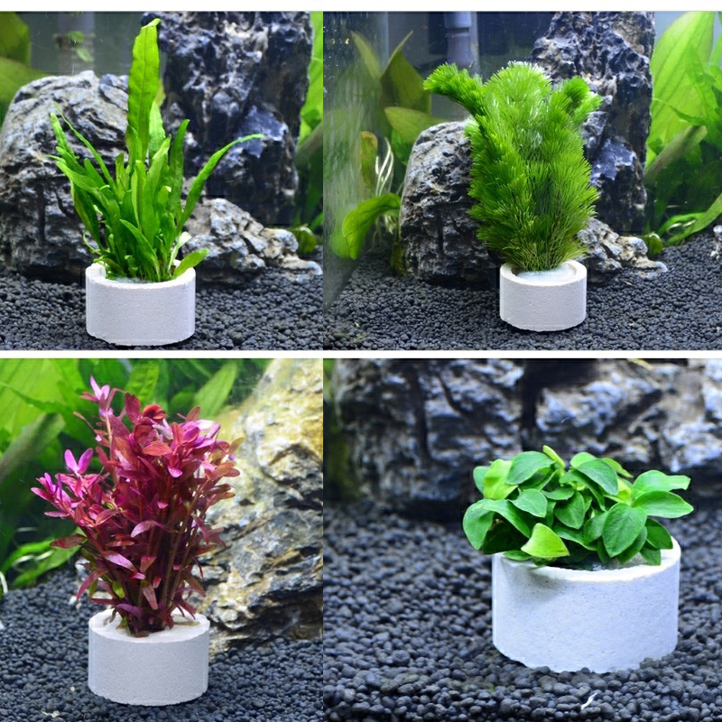 Decorazione dell'acquario anel - Plant Aquarium Pot recensione e prezzo