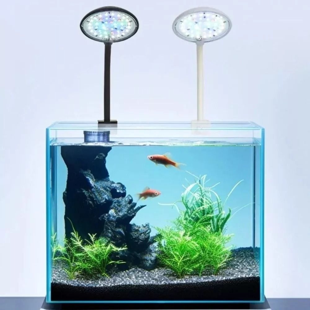 Nuova Mini lampada a Clip per  - Live Plant Aquarium recensione e prezzo