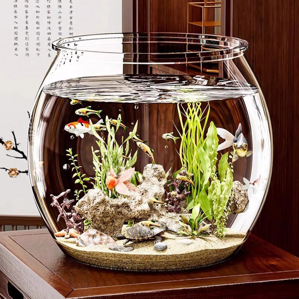 Ciotola per pesci rotonda in p - Plant Aquarium Pot recensione e prezzo