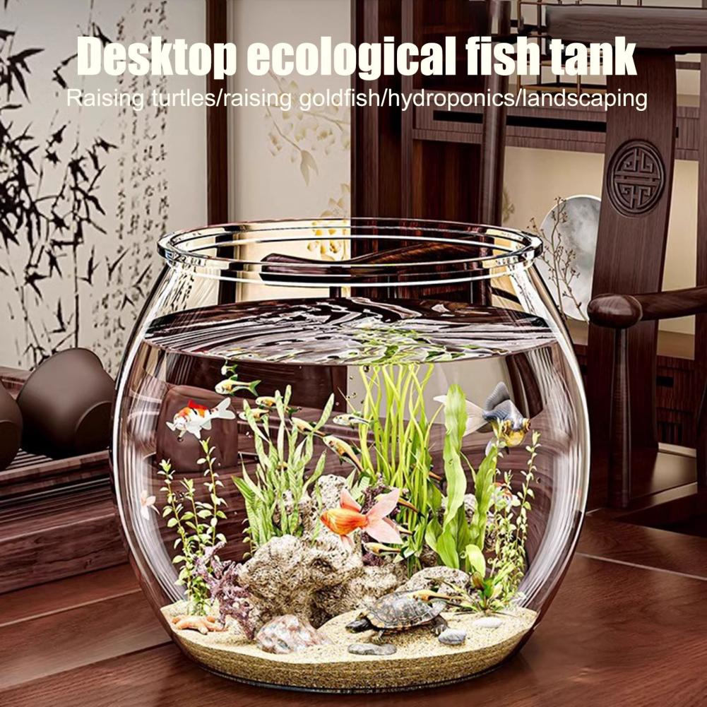Ciotola per pesci rotonda in p - Plant Aquarium Pot recensione e prezzo