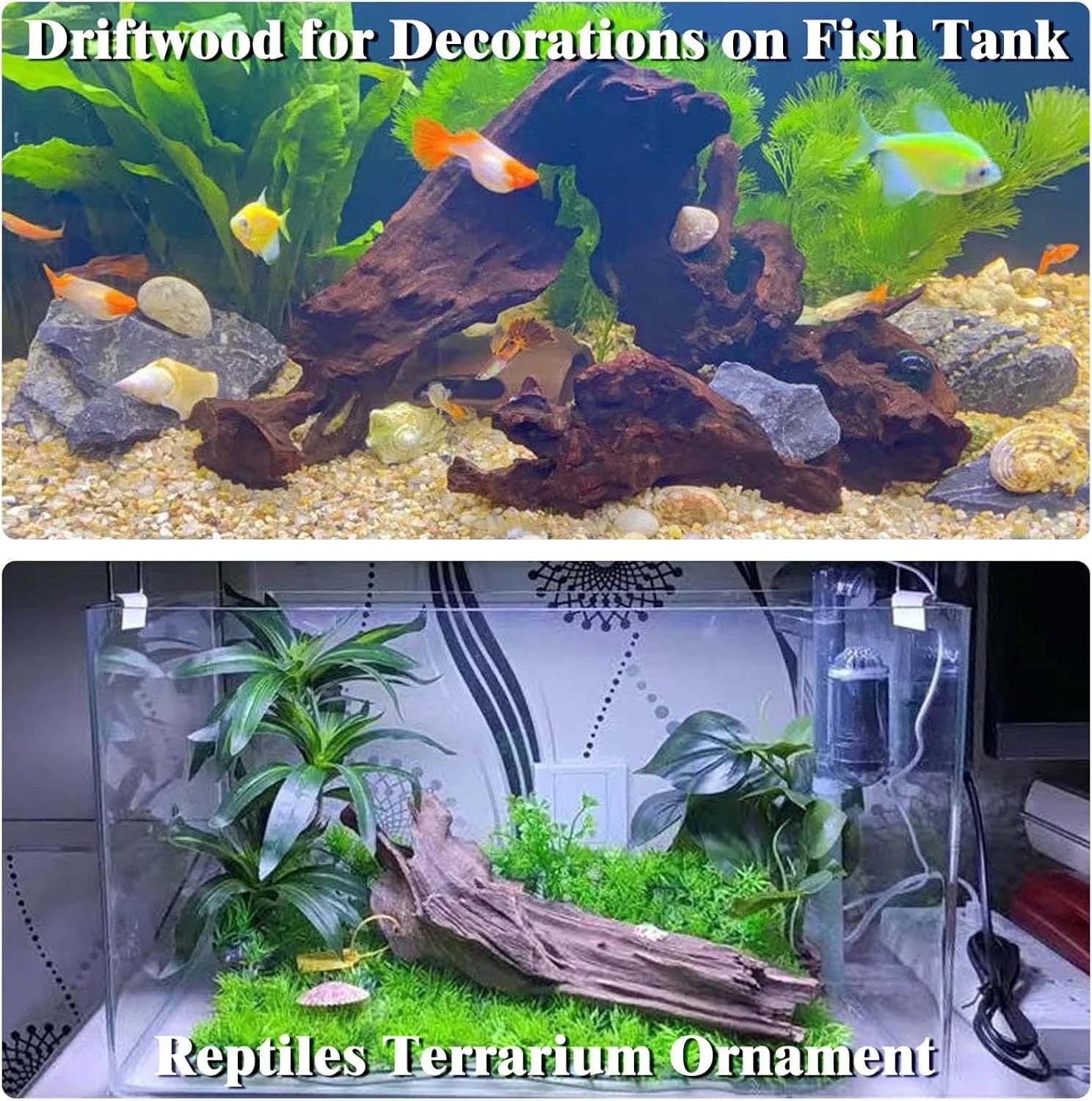 15-20CM 1Pc Legno Naturale Dec - Aquarium Moss recensione e prezzo