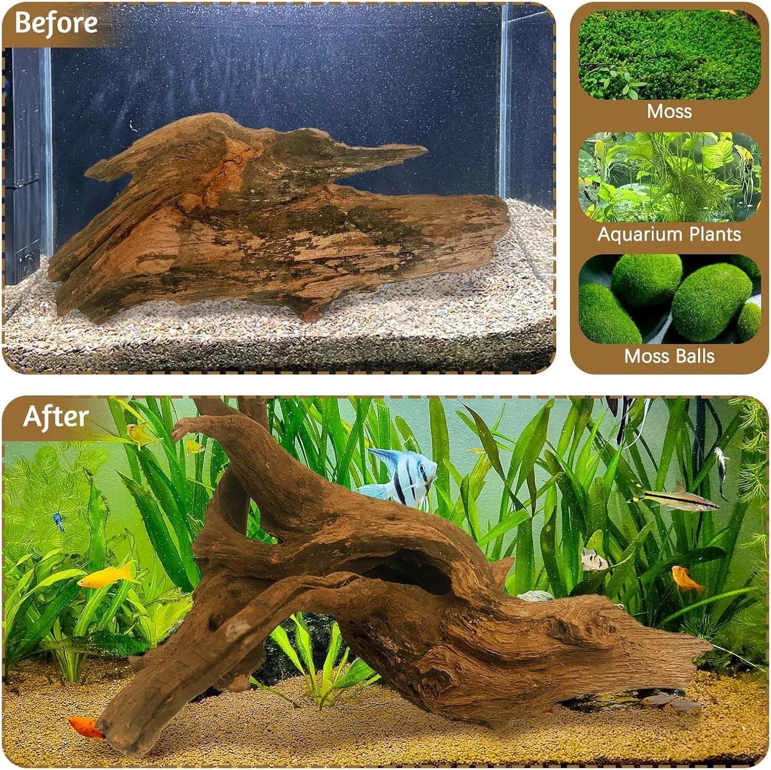 15-20CM 1Pc Legno Naturale Dec - Aquarium Moss recensione e prezzo