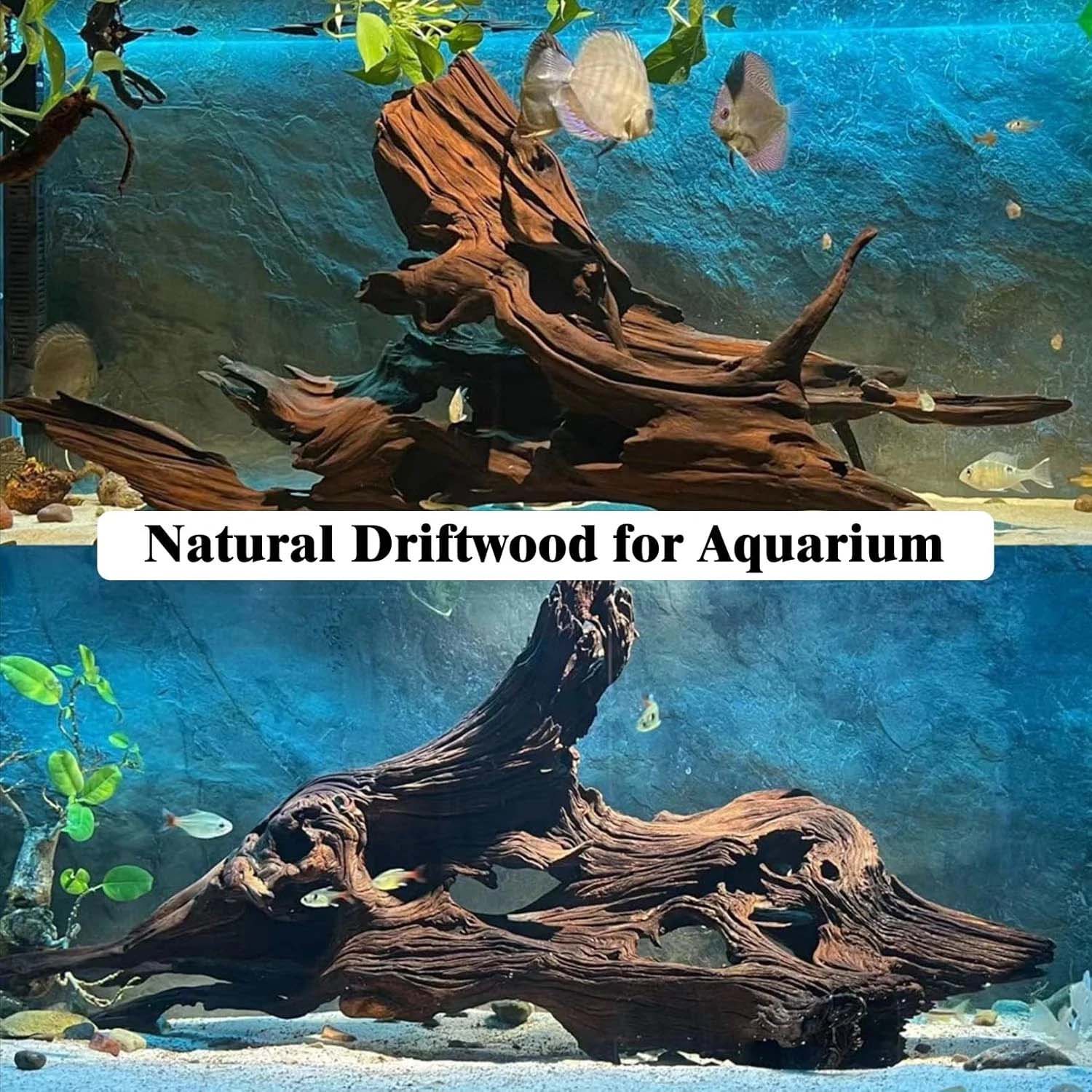 15-20CM 1Pc Legno Naturale Dec - Aquarium Moss recensione e prezzo