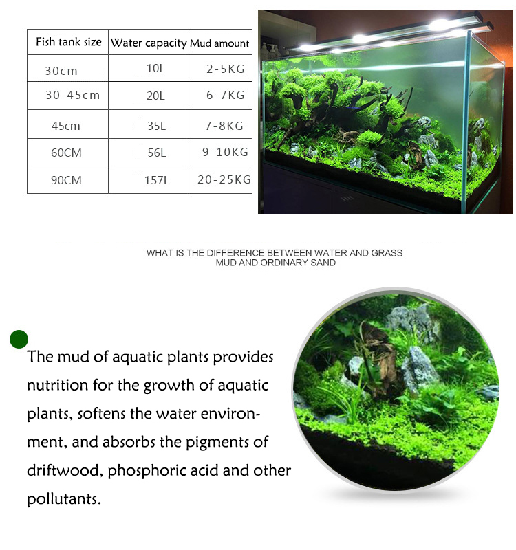 Acquario semi di piante terren - Aquarium Fertilizer recensione e prezzo