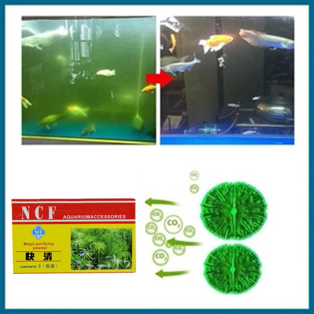 Polvere purificante dell'acqua - Aquarium Moss recensione e prezzo