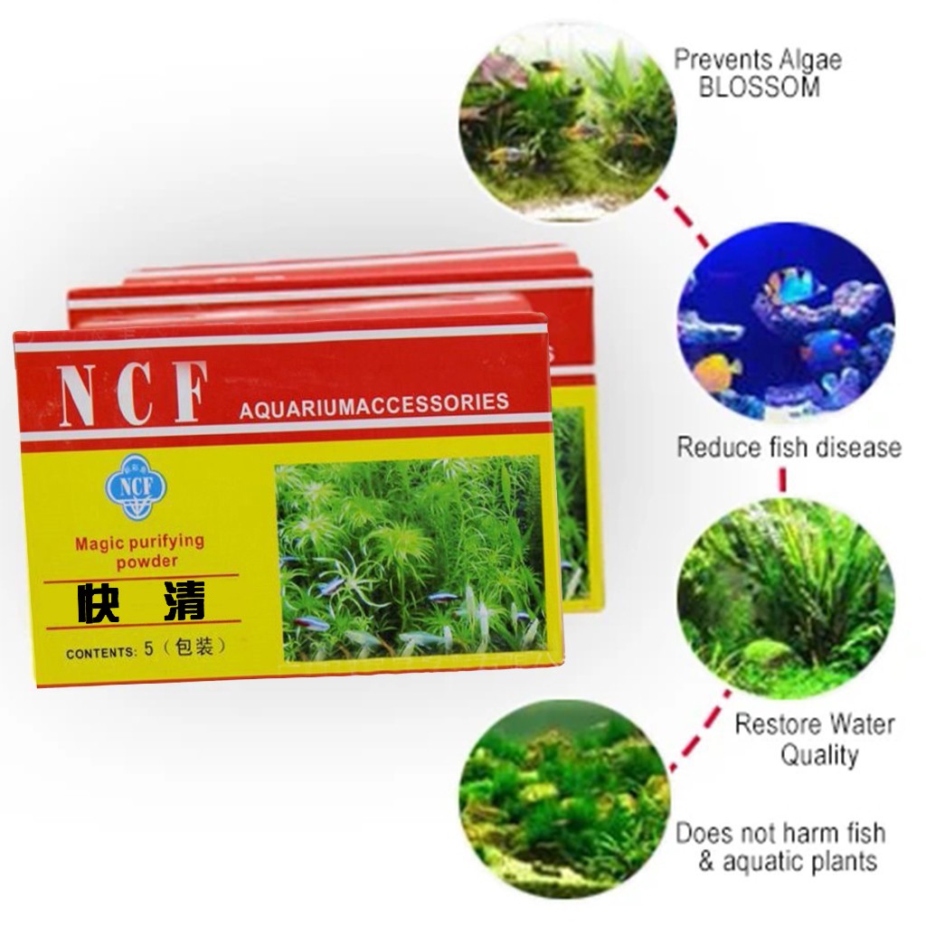 Polvere purificante dell'acqua - Aquarium Moss recensione e prezzo