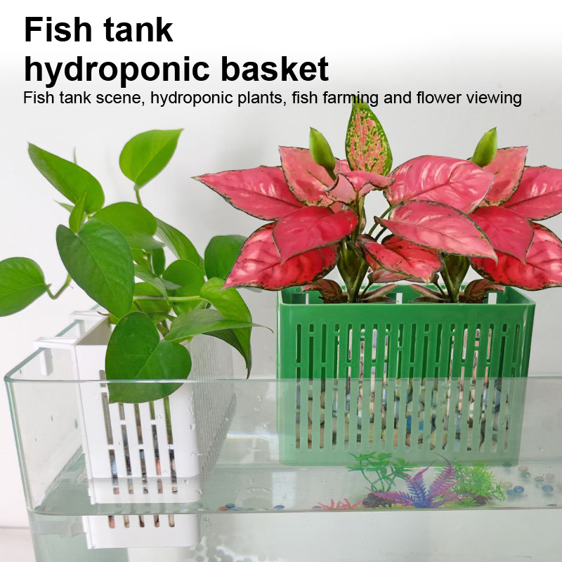 【F】Porta-piante sospeso per ac - Aquarium Plant Substrate recensione e prezzo