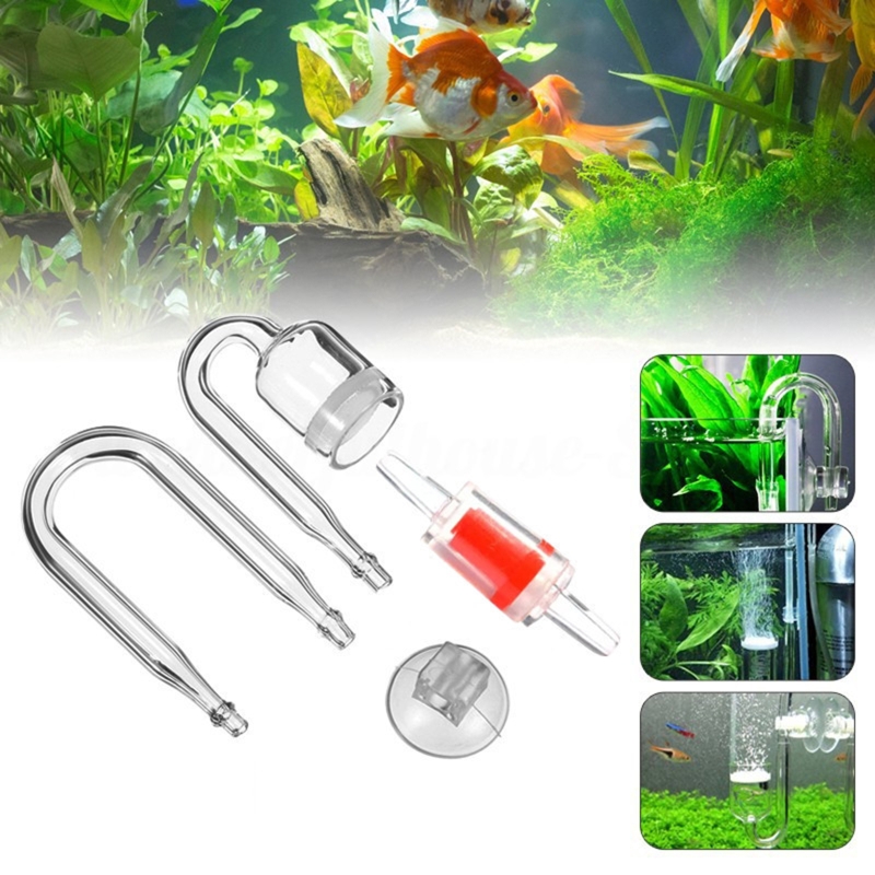 Set da 4 pezzi diffusore di CO - Aquarium Liquid Carbon recensione e prezzo