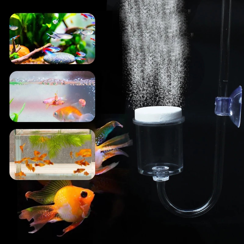 Set da 4 pezzi diffusore di CO - Aquarium Liquid Carbon recensione e prezzo